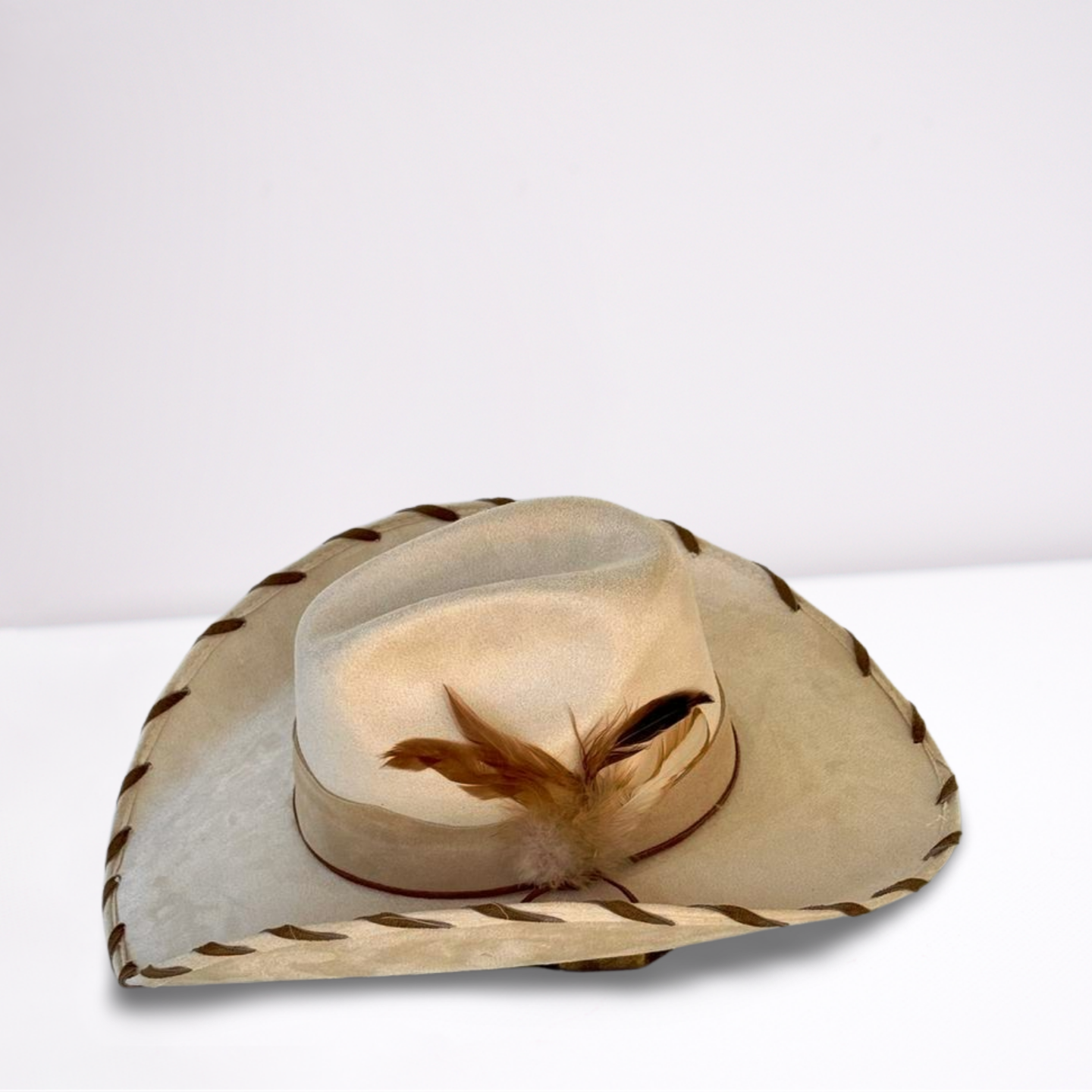 Brown Suede Band Cowboy Hat